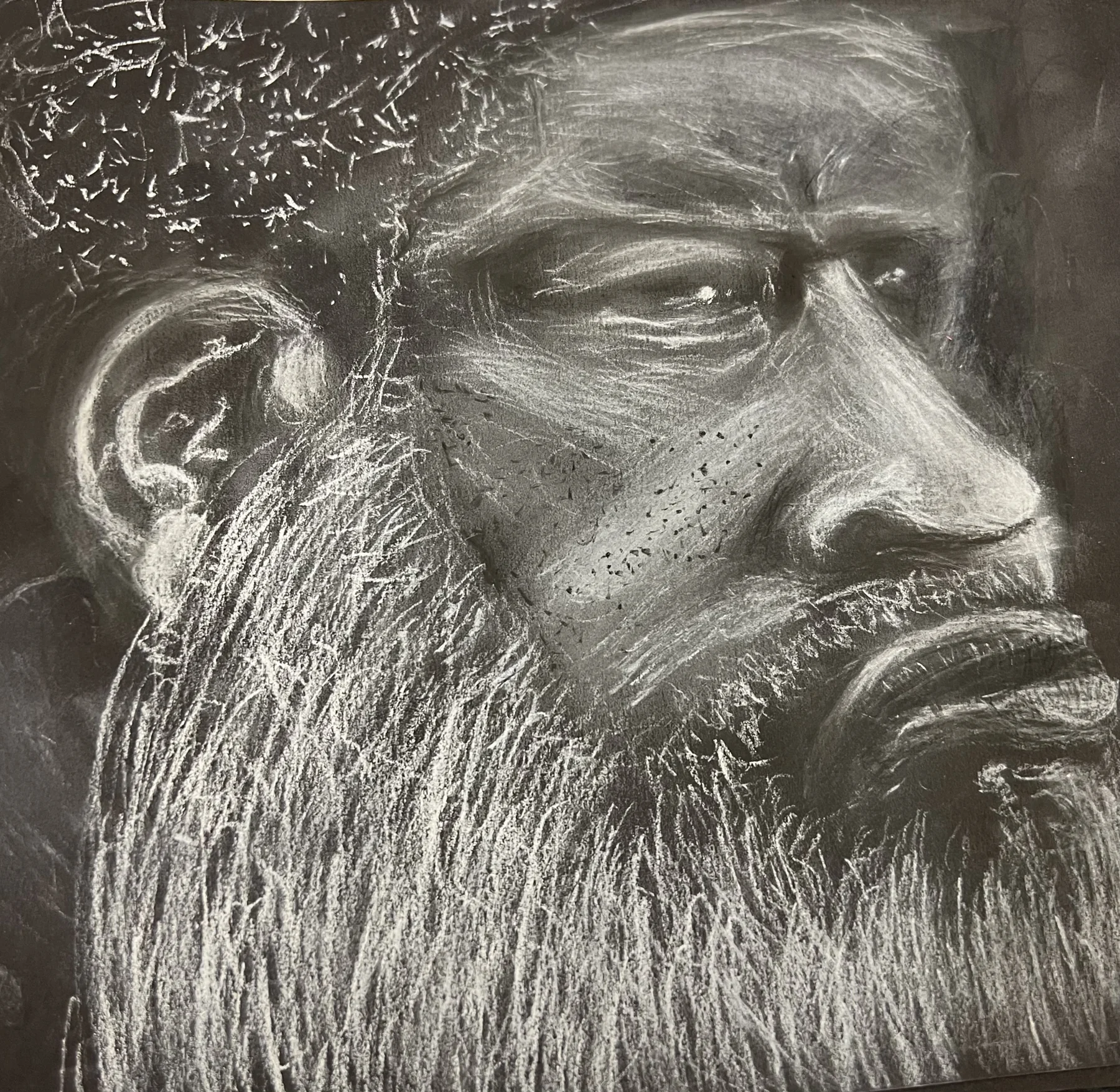 Portrait study